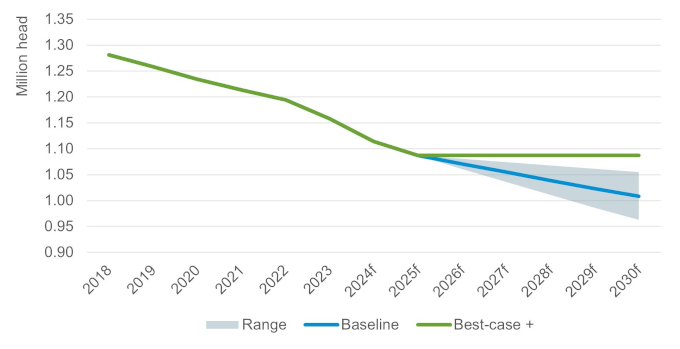 GB suckler herd size data 2018-2030.